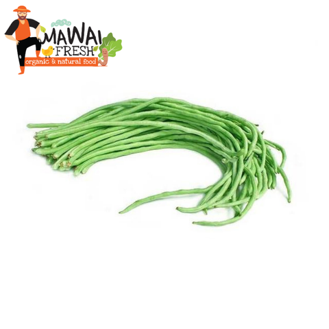 30. Organic Long Bean 有机长豆 200g.png