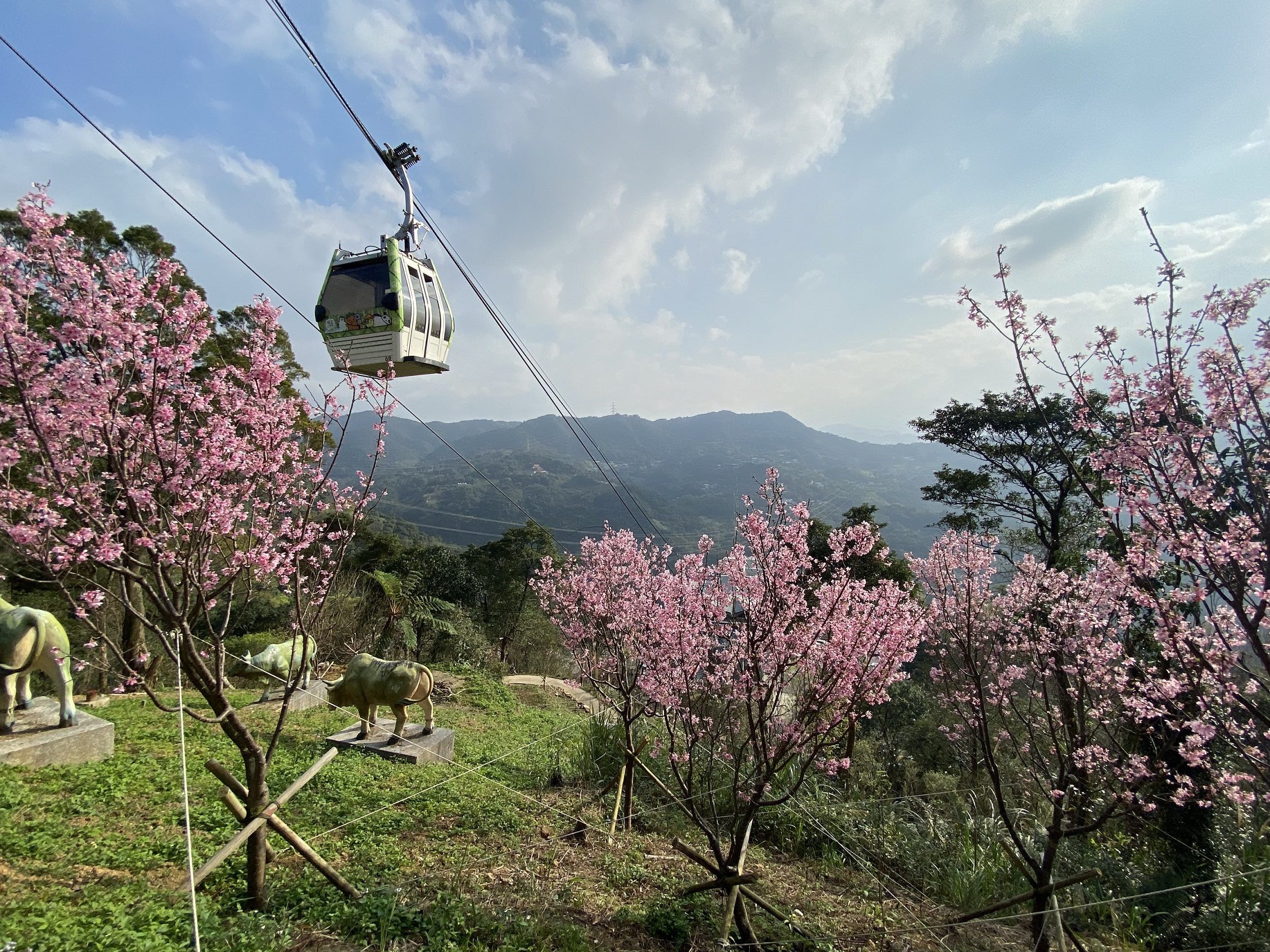 【台北兩日遊】漫遊後山茶香之旅