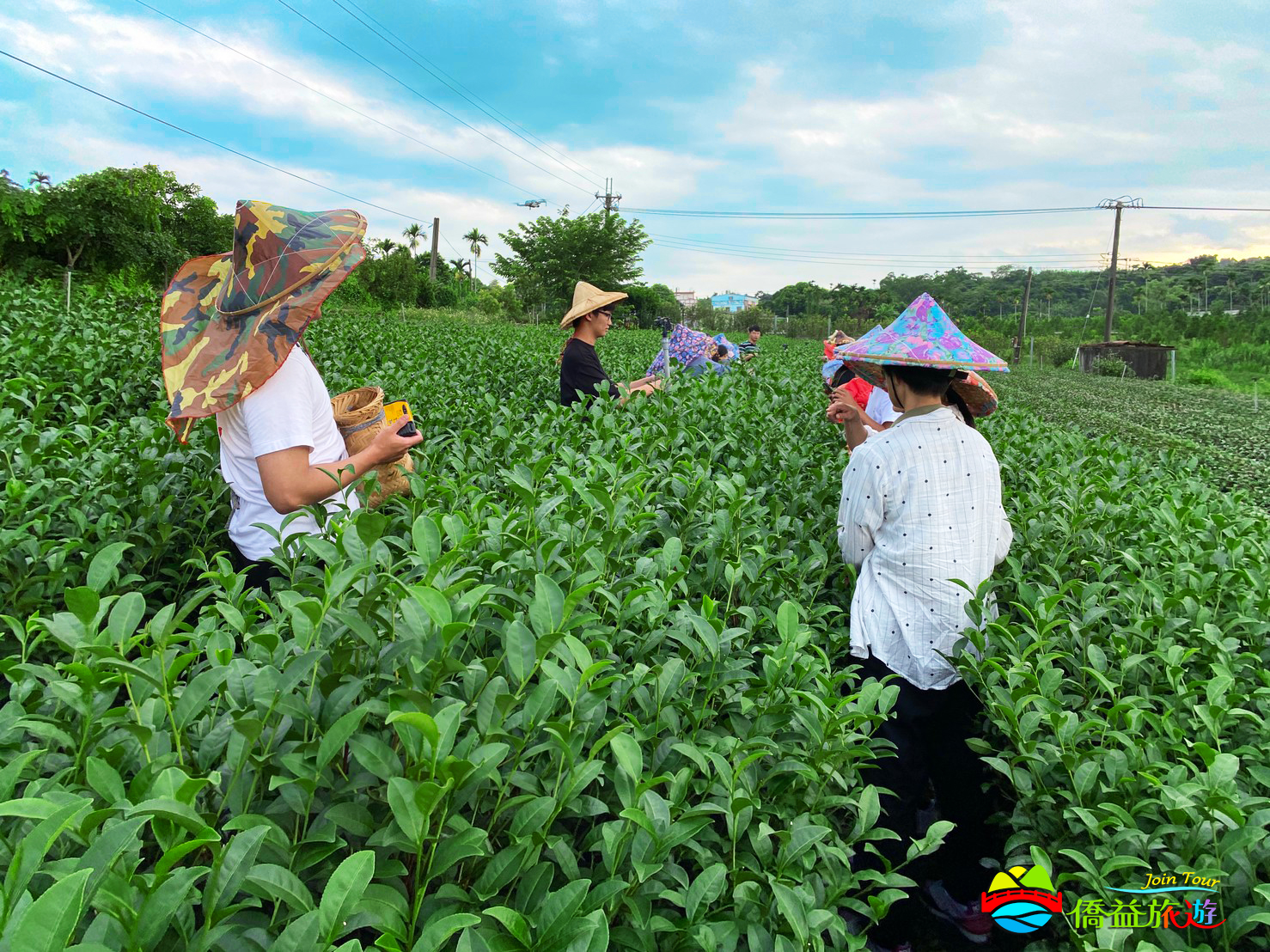 僑益旅行社 X 粉享玩 |  - 服務<br>內容