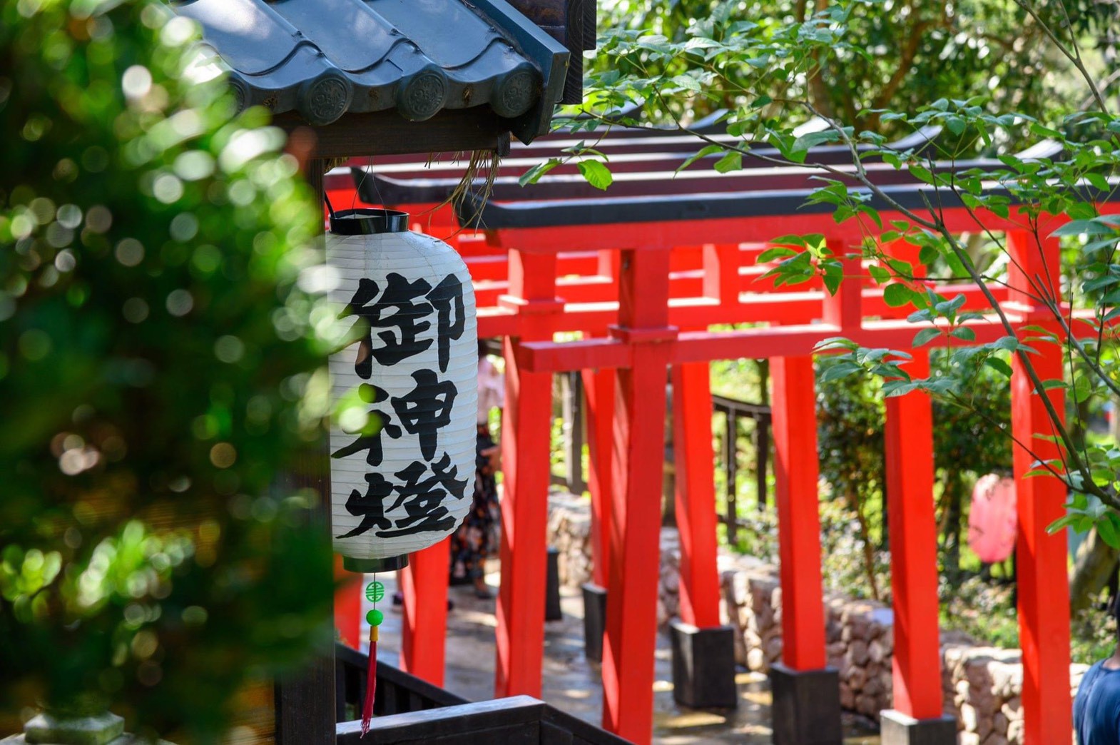 苗栗綠意山莊_210408_31.jpg 苗栗綠意山莊_210408_31.jpg