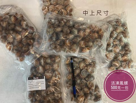 124574468_2439113019717603_3001252003654494673_n