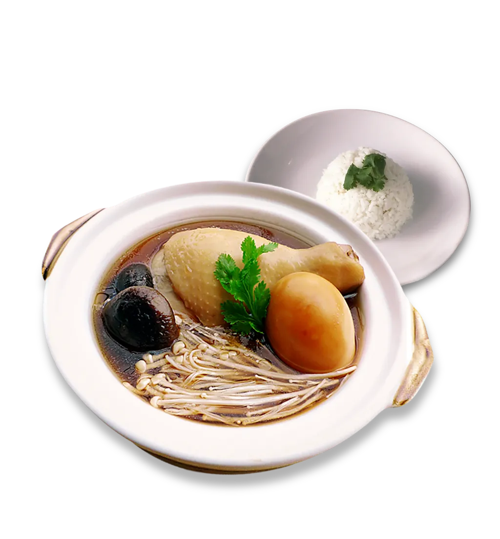 herbal chicken soup with rice.png