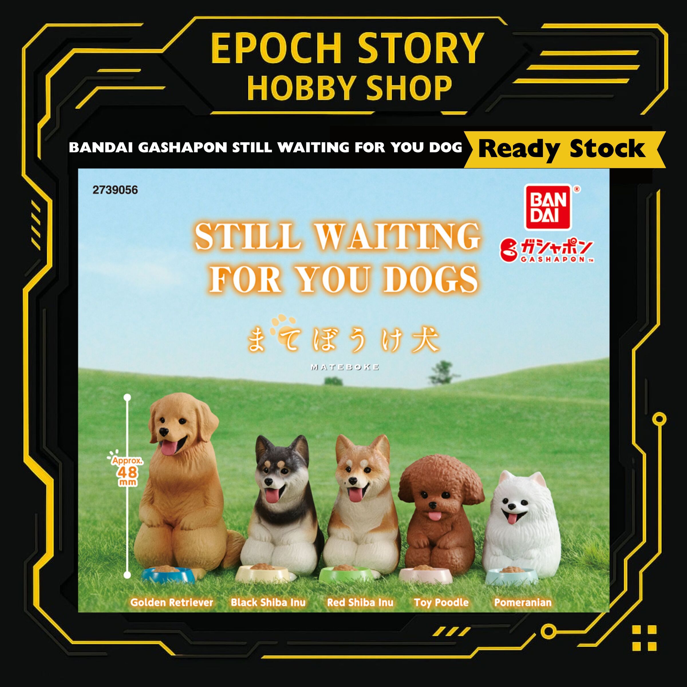 Animester Easy Pick series Medusa Girl-Kirisa 17 (13)