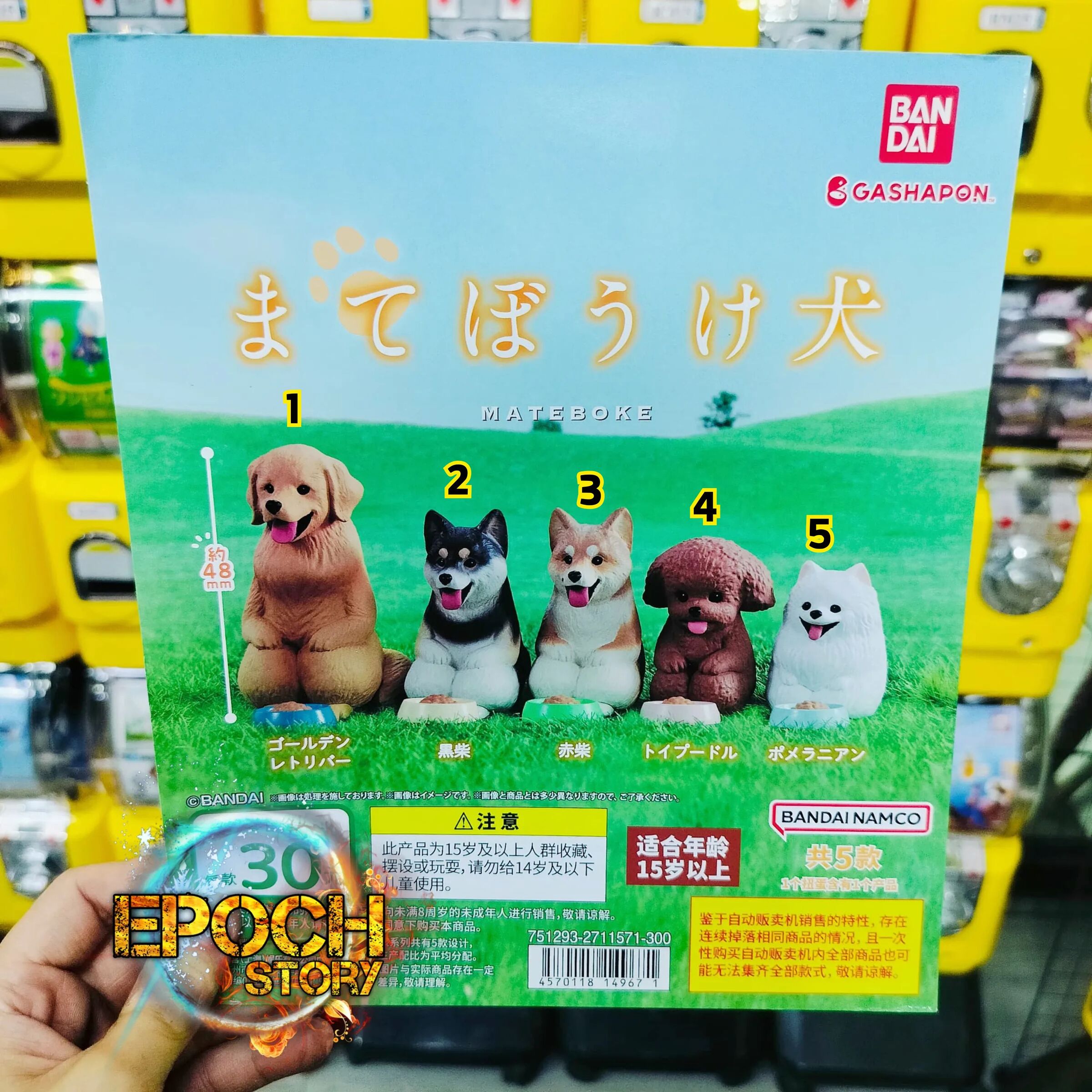 Animester Easy Pick series Medusa Girl-Kirisa 17 (14)