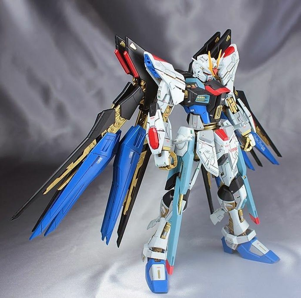 MG 1100 STRIKE FREEDOM GUNDAM2.jpg