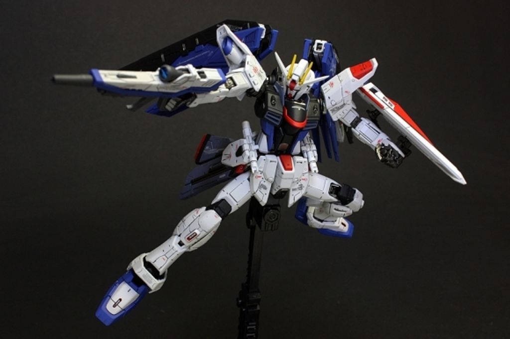 RG 1 144 Freedom Gundam4.jpg