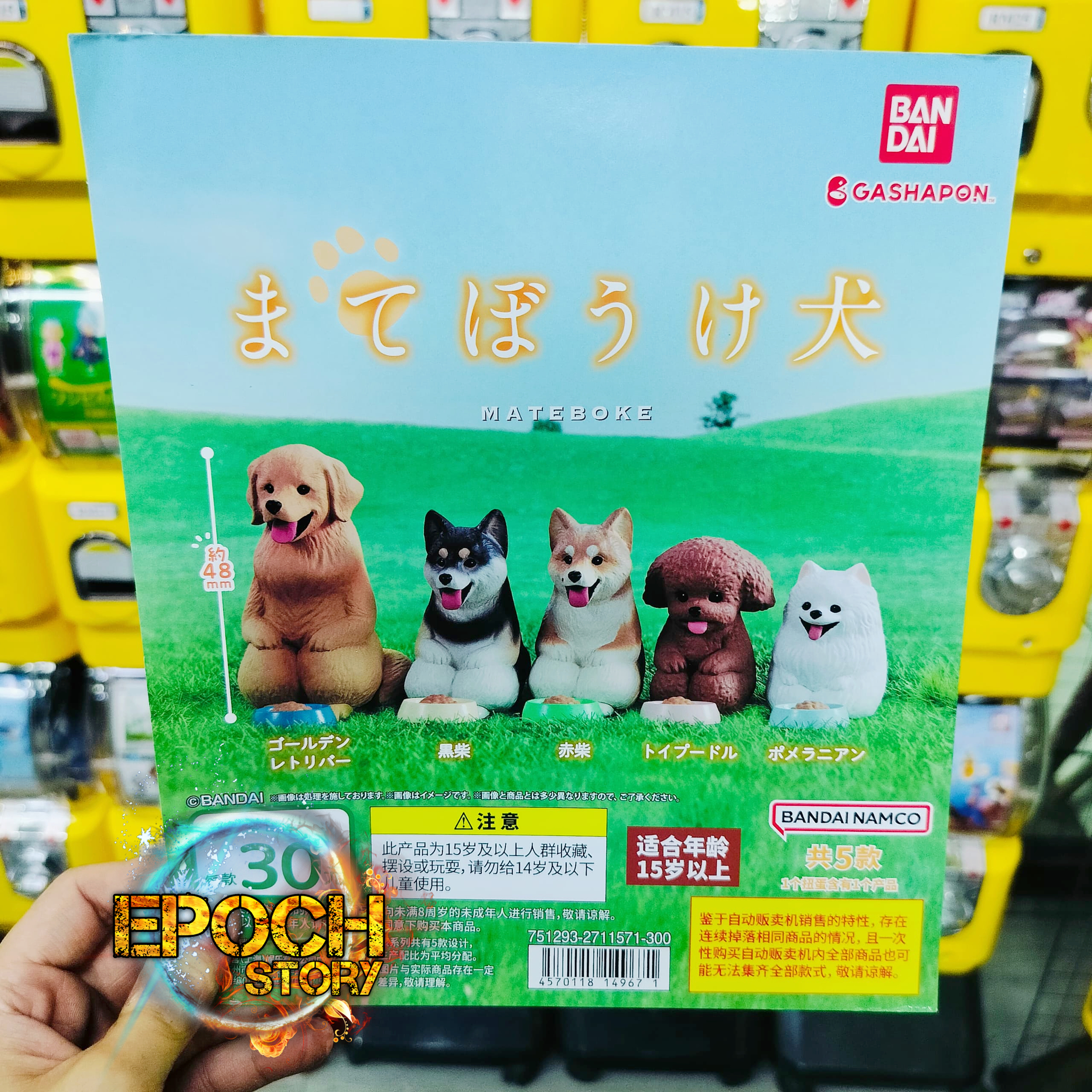 bc1af139-a78d-445f-8c51-b2162827276d