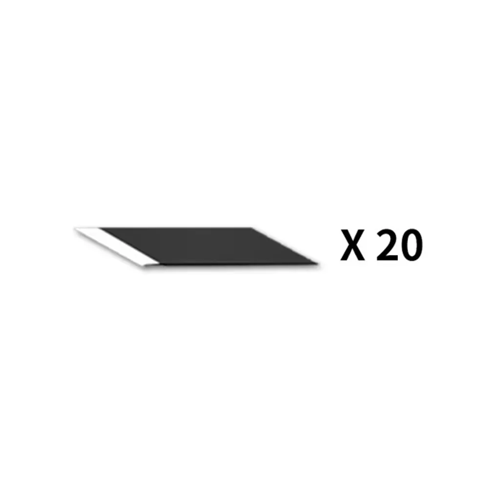 10 (1)