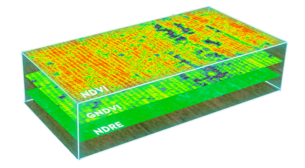 Mavic 3 Multispectral