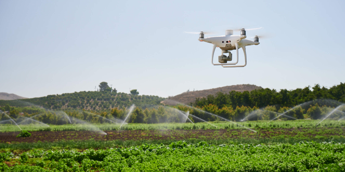 DJI Phantom 4 Multispectral in Agriculture – Drones Kaki