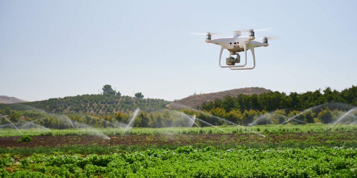 DJI Phantom 4 Multispectral in Agriculture