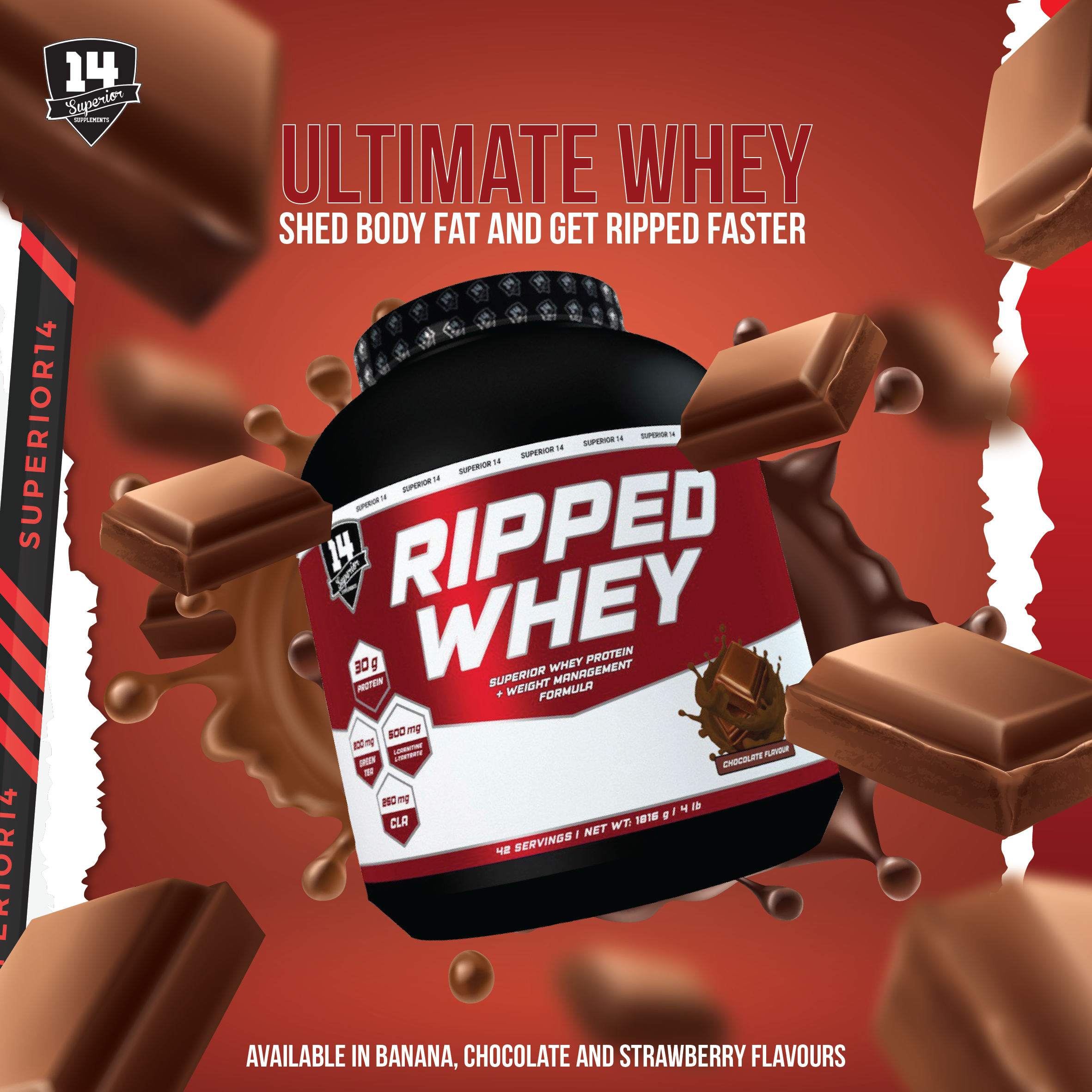 POSTER RIPPED WHEY 2