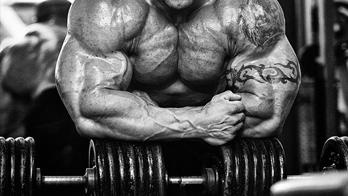 Exercise Yang Baik Untuk Strength
