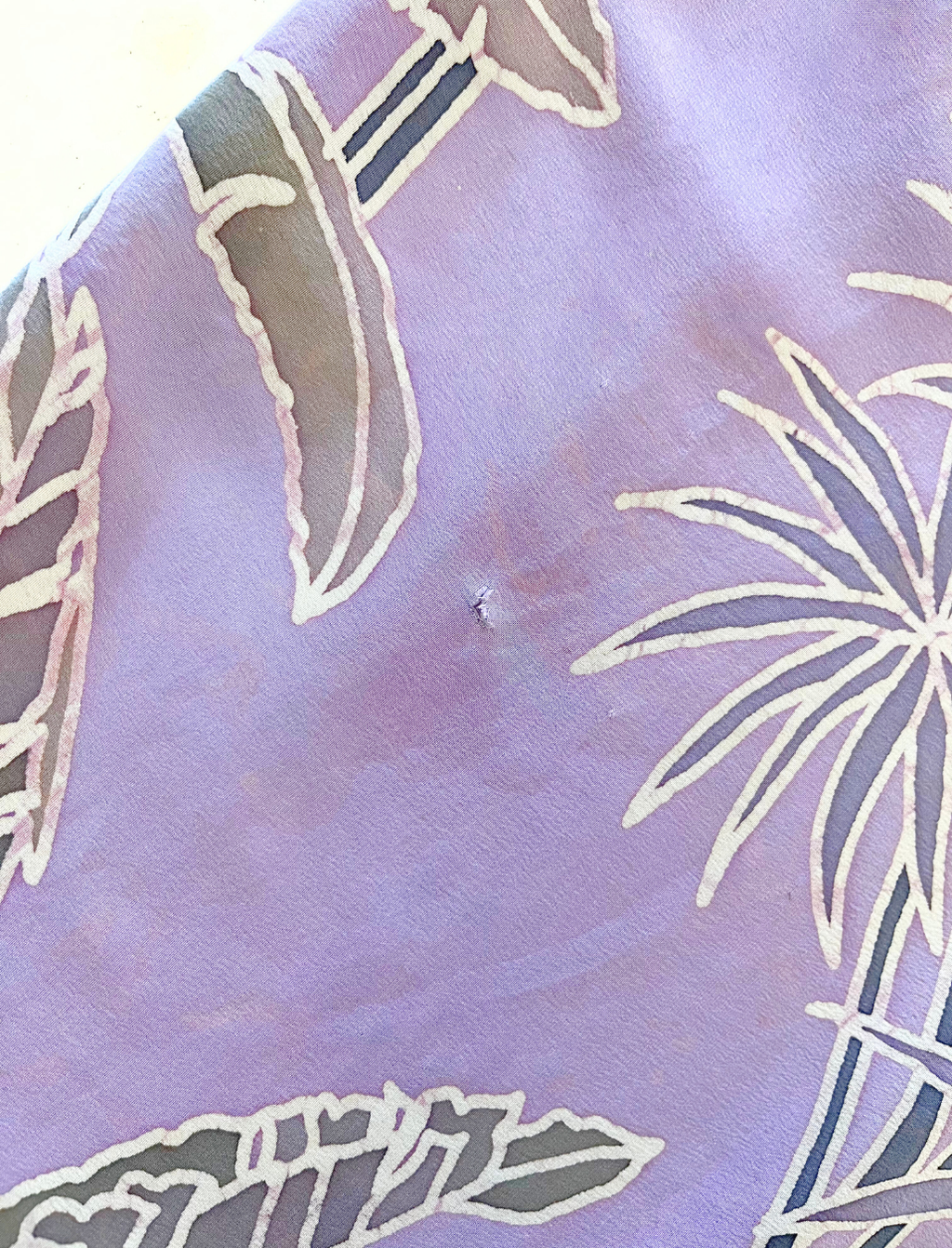 image_BFEA295C-6533-466E-BD08-188D2477D000_1769663605