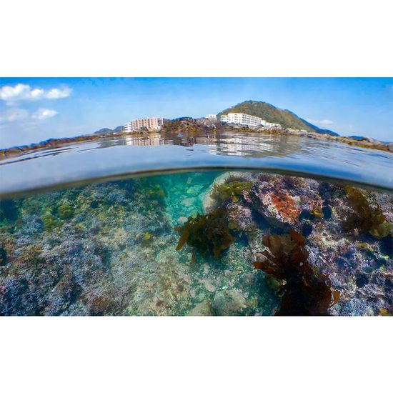 水舍水中攝影器材