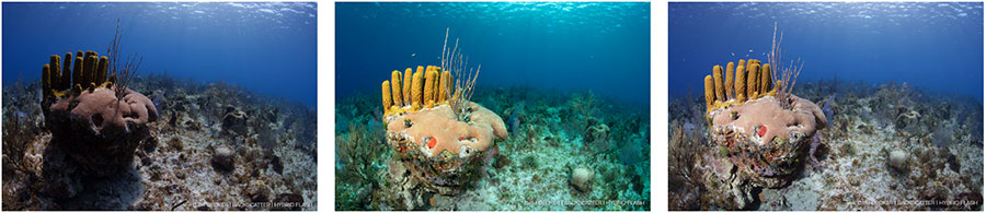 bs-hf-ambient-160_Backscatter-Hybrid-Flash-Ambient-Blue-160-Dome-Diffuser_04