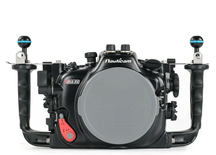 R6.jpg