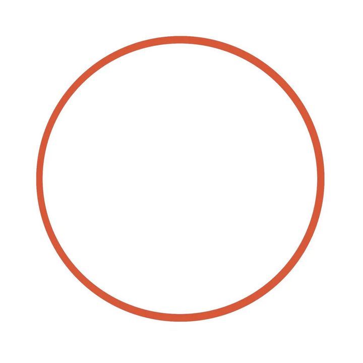 0109_ikelite_O-Ring-for-Digital-Housings