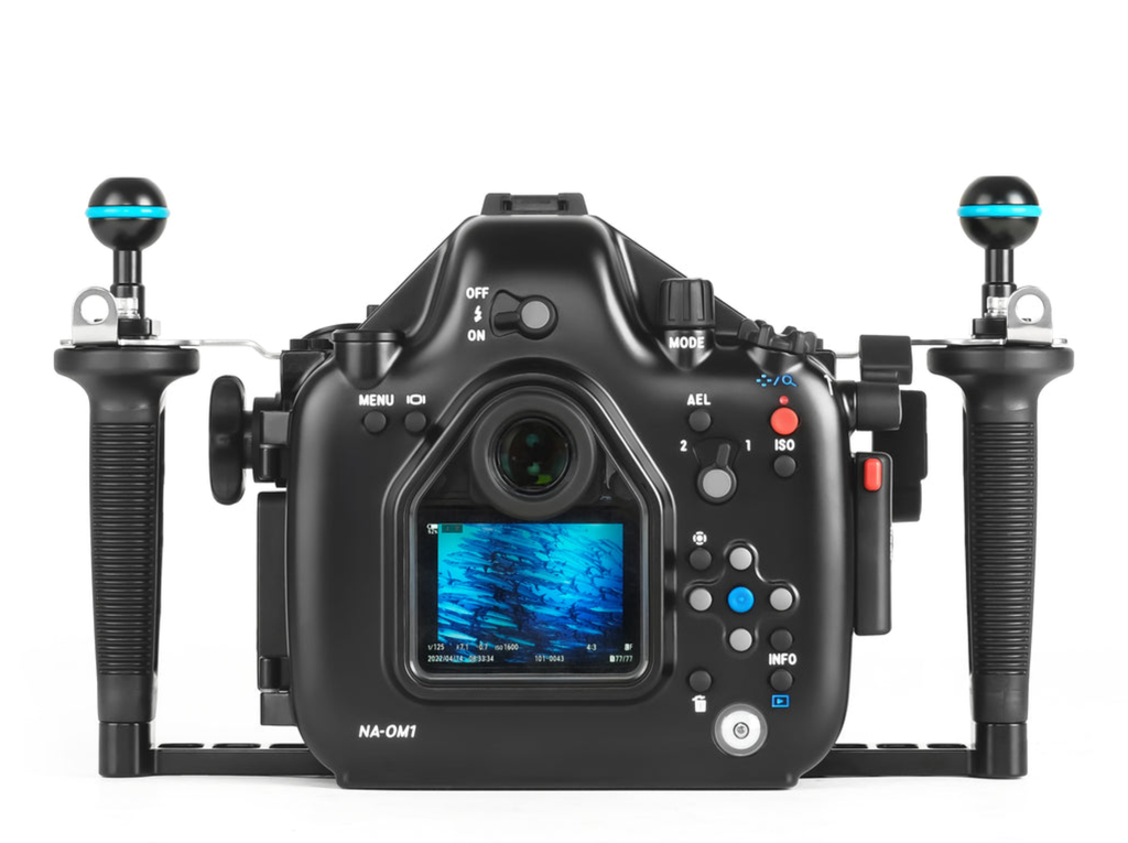 螢幕擷取畫面 2025-12-23 102522