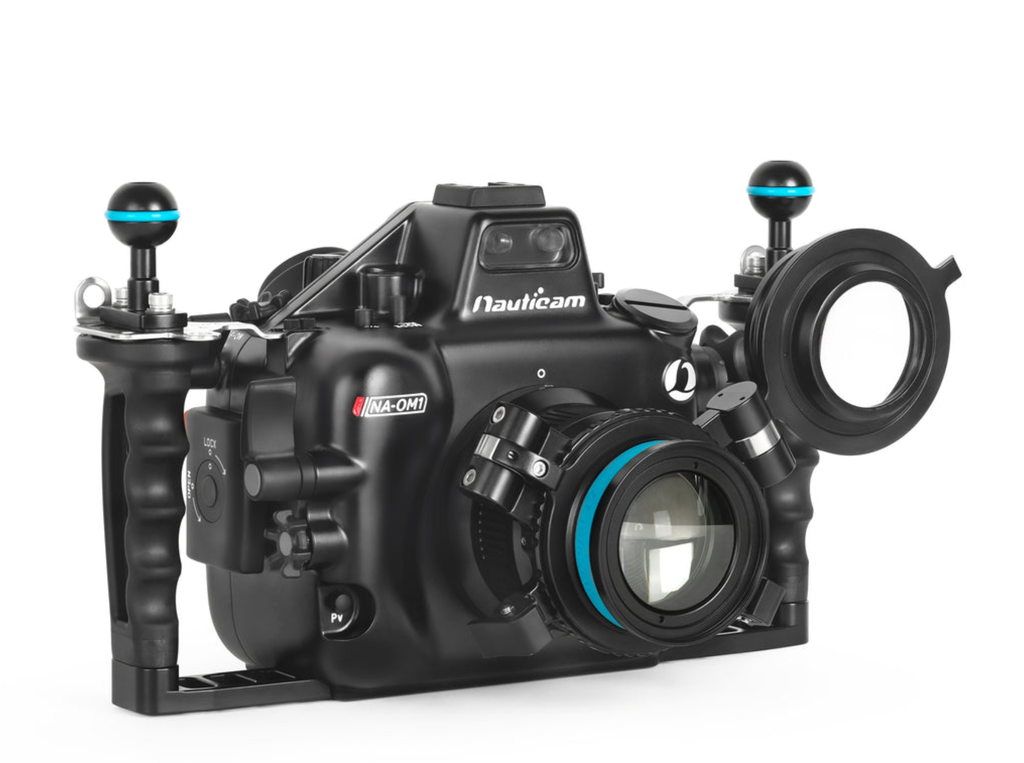 螢幕擷取畫面 2025-12-23 102747