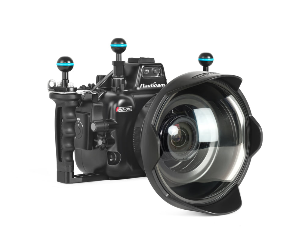 螢幕擷取畫面 2025-12-23 102841