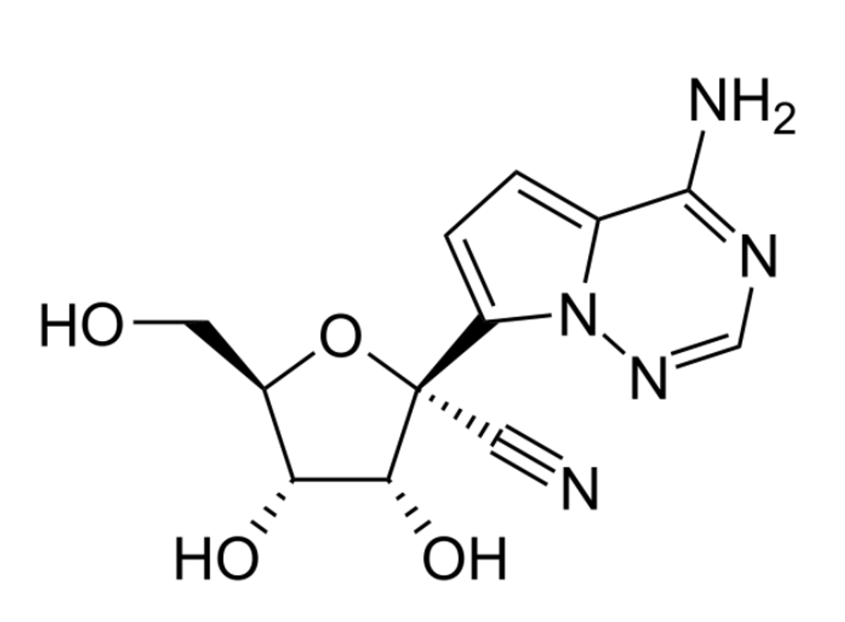 6 Reasons why BasmiFIP is Awesome!