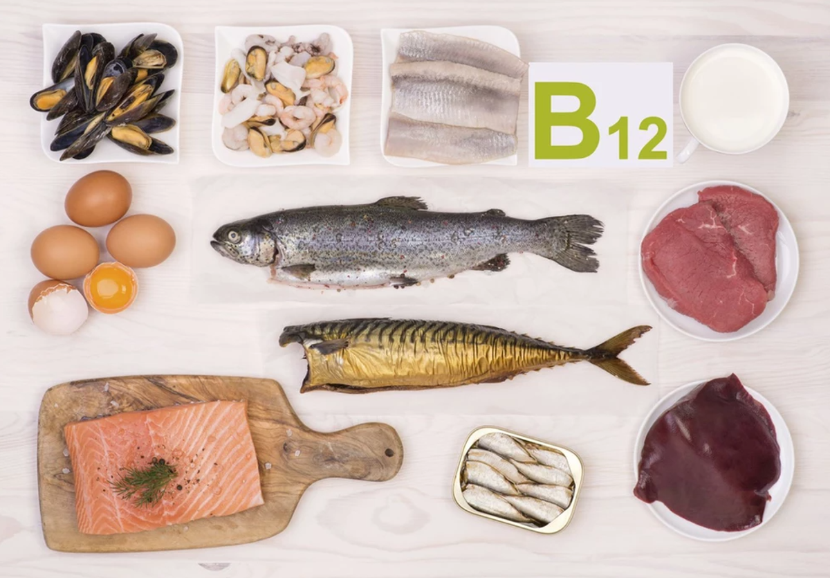 Vitamins/Supplements for a speedy recovery from a FIP Infection