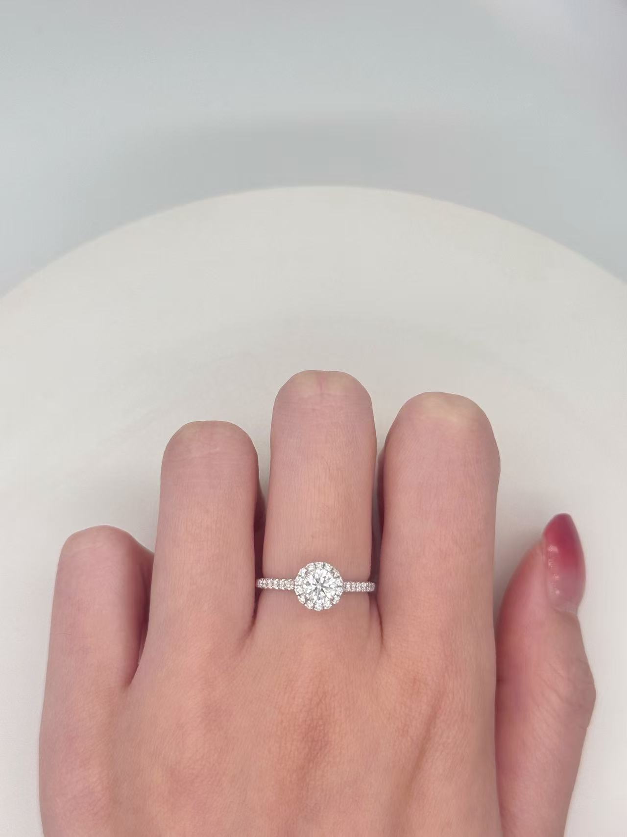 圖片_20260203171519_109_2