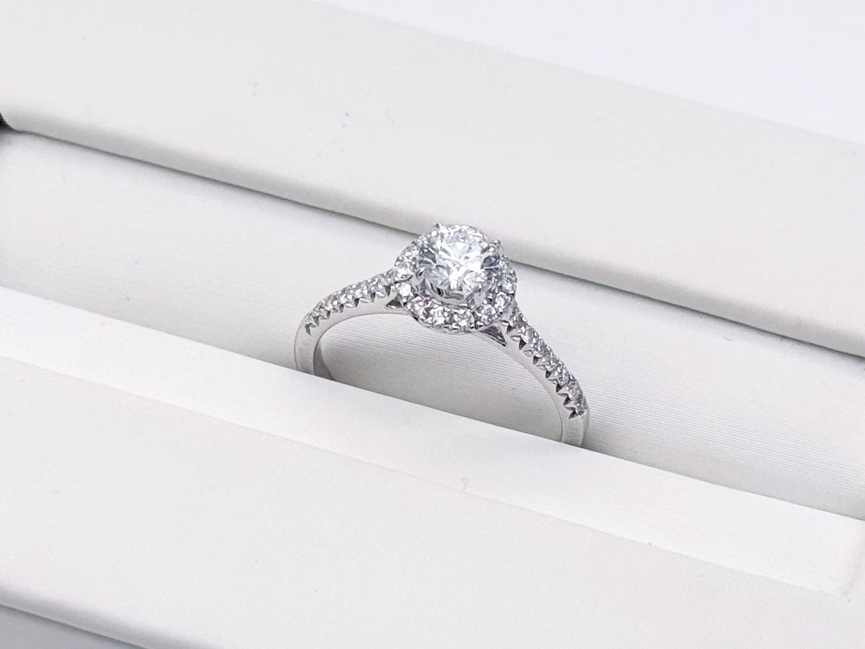 圖片_20260203173318_116_2