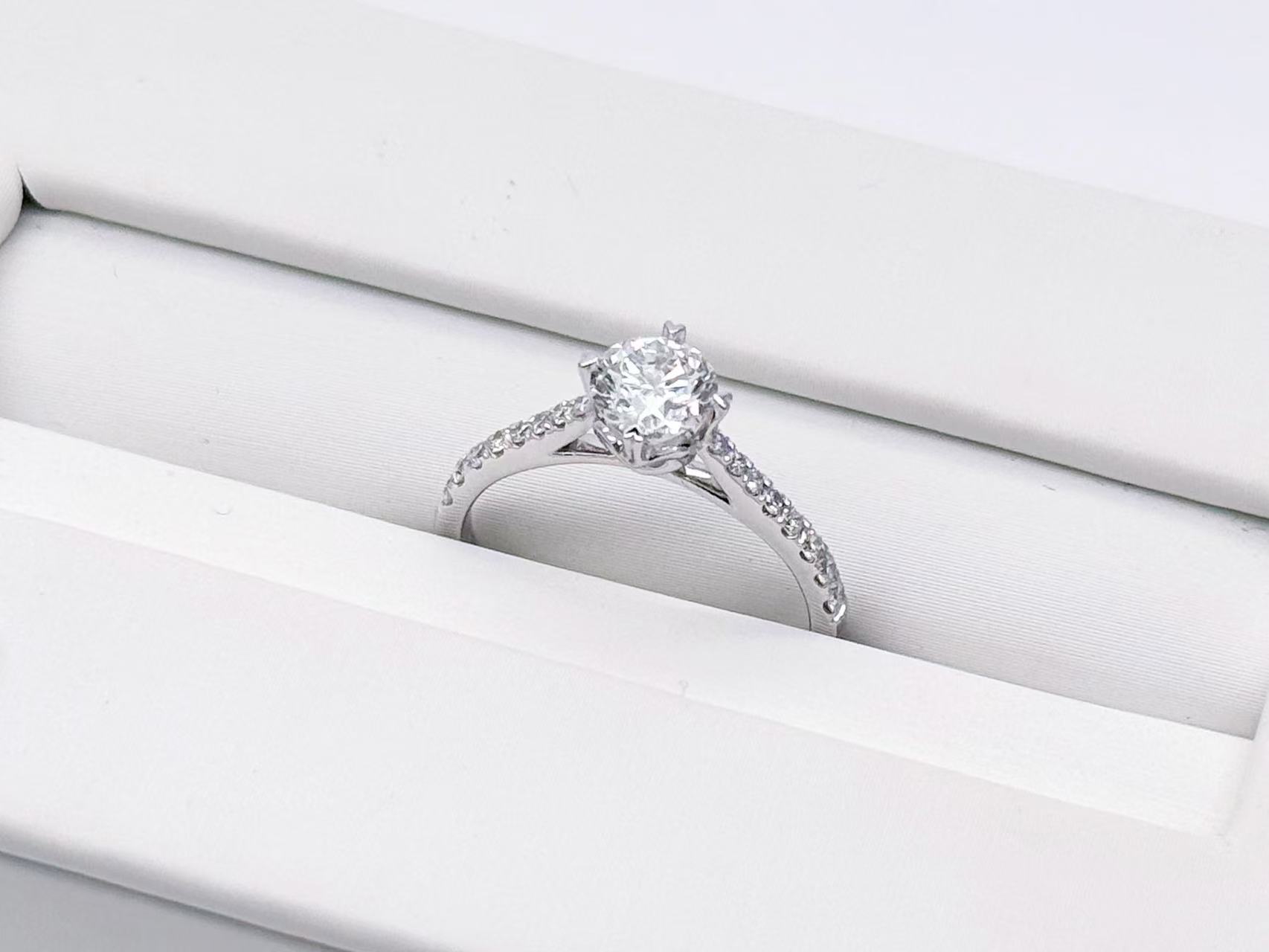 圖片_20260203173315_115_2