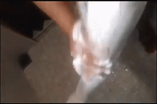 ezgif.com-video-to-gif.gif