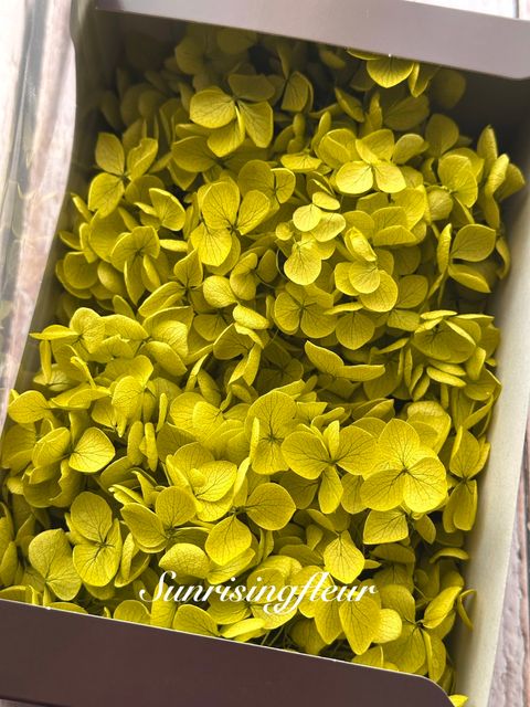 image_072B7453-368E-4983-B1EB-CF8F897198E4_1773211652