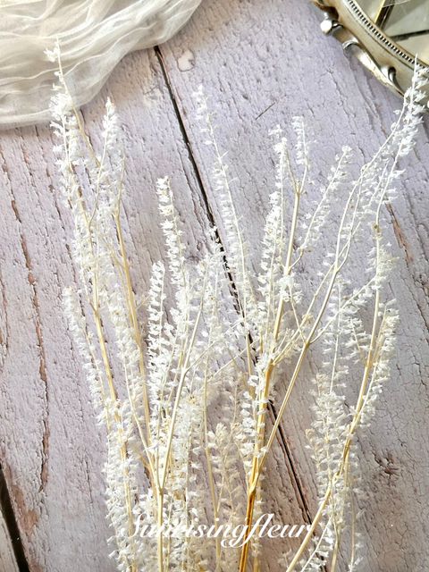 image_6F94CE28-4131-4B8A-B292-A7E5A1BEFF8D_1773212274