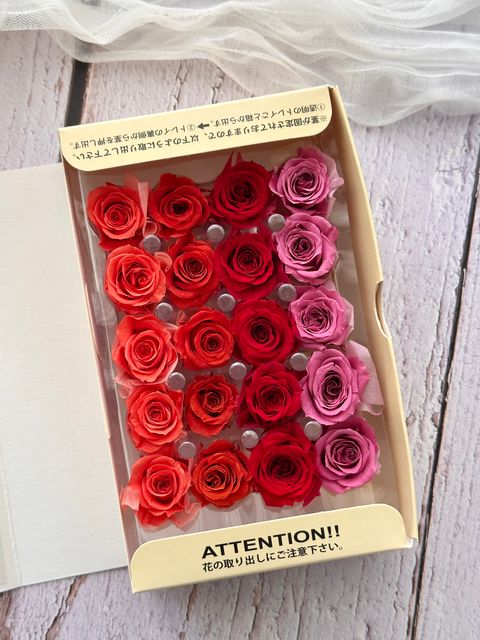 image_501D62E4-181A-4154-9650-6B47F24367A9_1773278890