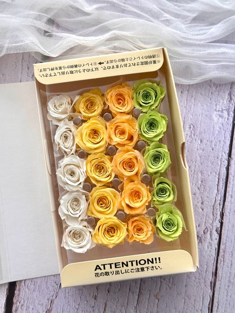 image_CC4B7111-01B9-4AB1-A6E1-8BCB3DED673B_1773278925