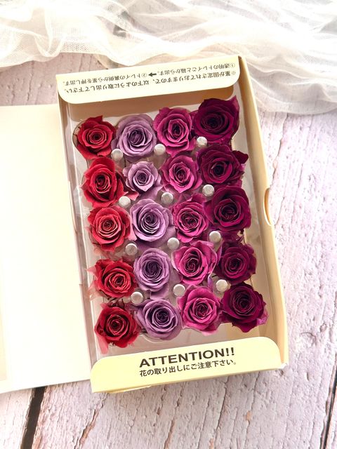 image_15B79958-45DB-4A56-AC15-9CB4D1550FAA_1773278958