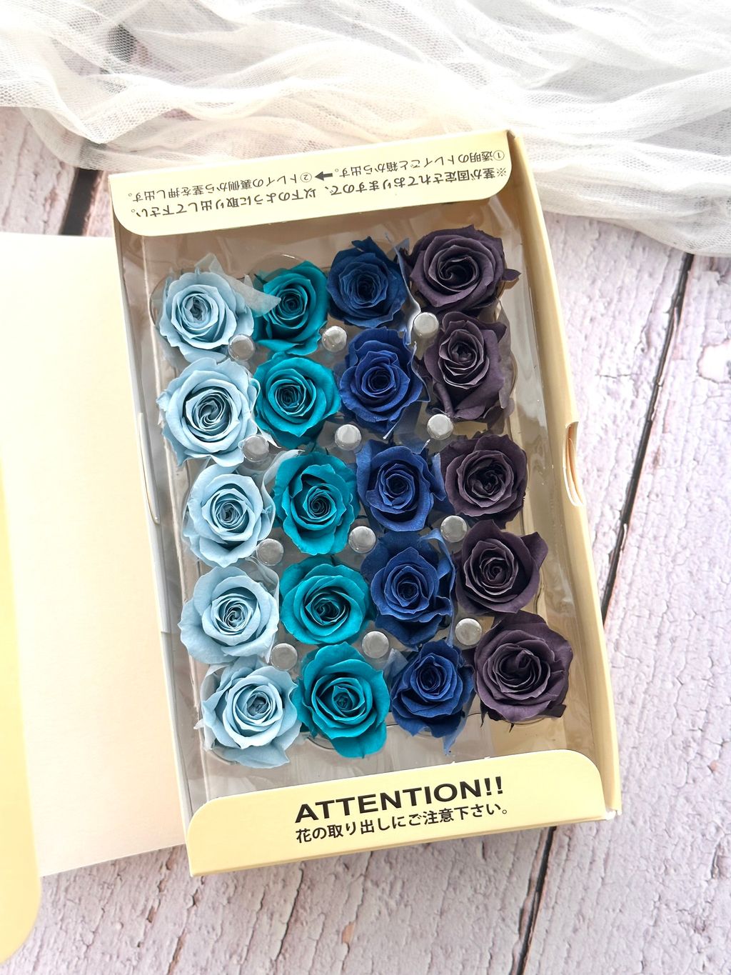 image_FBAE85B9-9D2D-4A82-8EAA-A23FBB67762E_1773278995