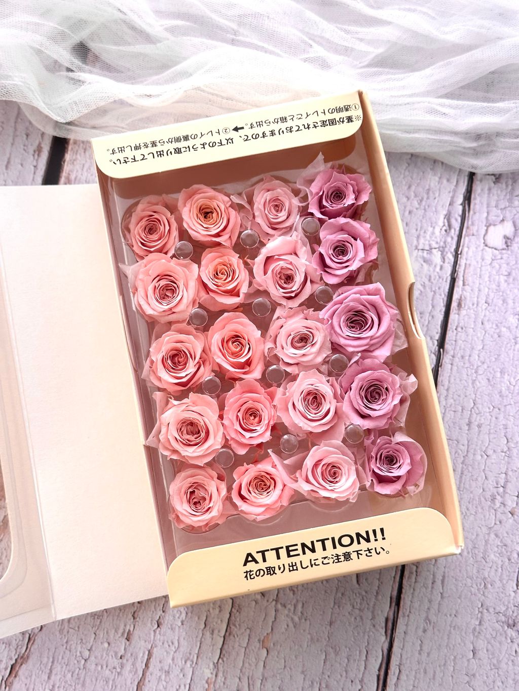 image_5C5FD3DC-07D6-4A69-BB68-B9EB1F79E1DE_1773279055