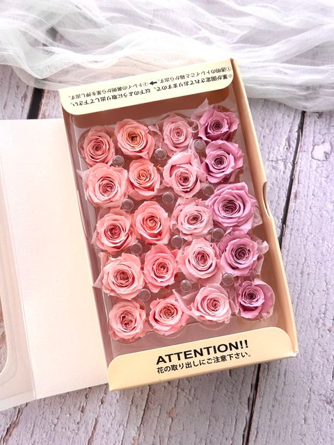 image_5C5FD3DC-07D6-4A69-BB68-B9EB1F79E1DE_1773279055