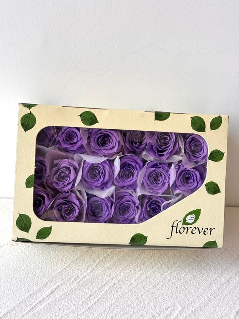 image_6116B537-04EB-437D-8D20-B8AE5483CF17_1773716888