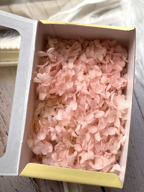 image_8E87173C-50A3-46D7-BB55-374B5D9F0010_1773729077