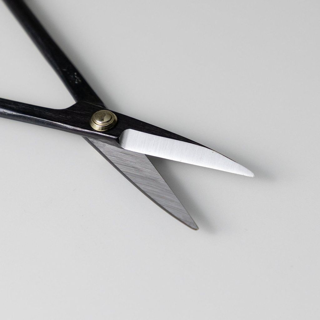 img_06_e9768d61-8d72-4867-a5f2-94db6b0c05c9_1024x1024@2x