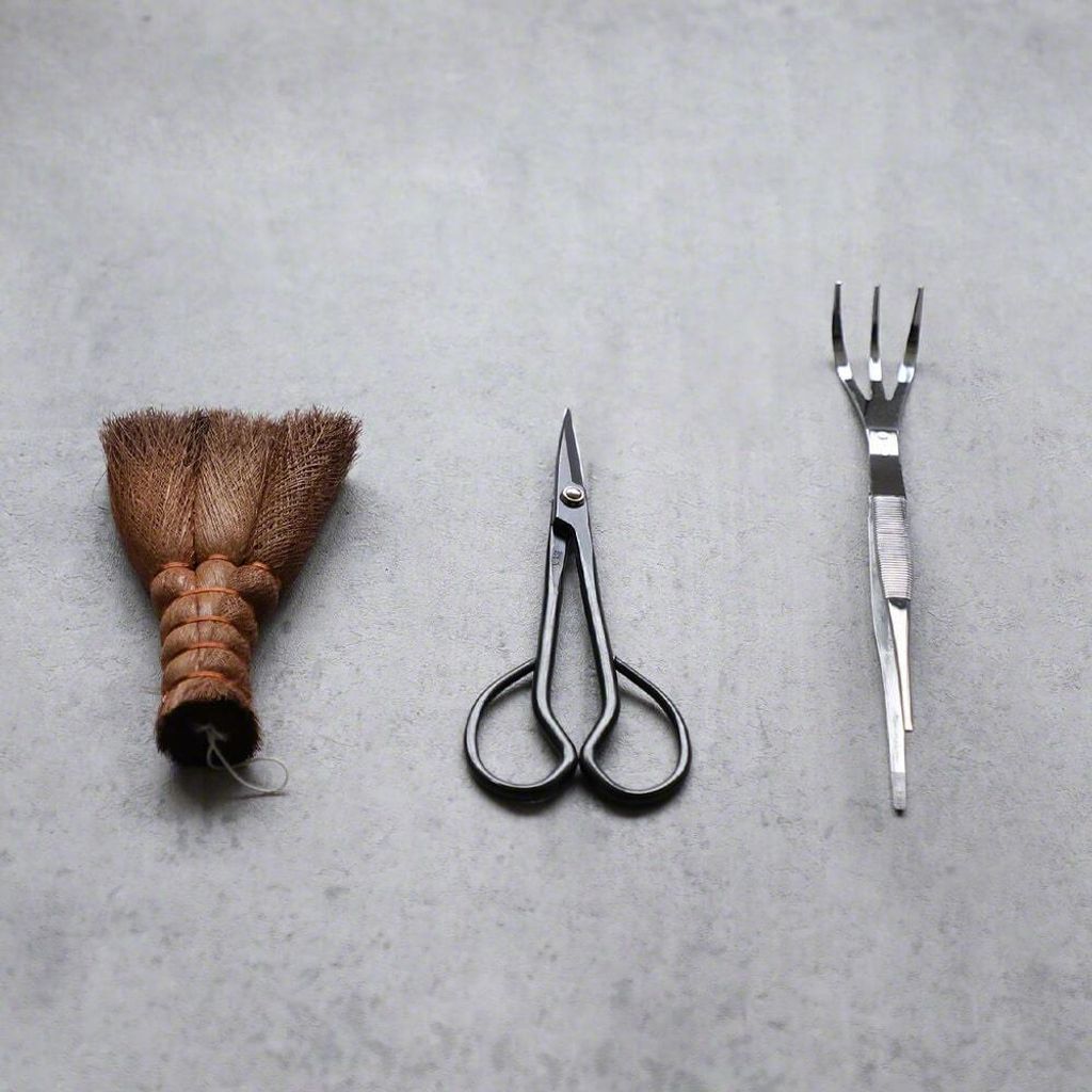 wzkr_201223_18_1_-min_1024x1024@2x