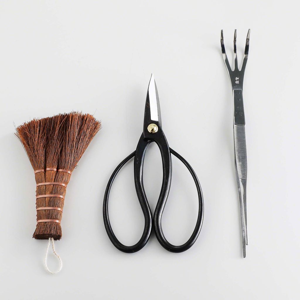 03_5fc737fa-8288-4caa-ab9f-3d20c4fbf3bc_1024x1024@2x