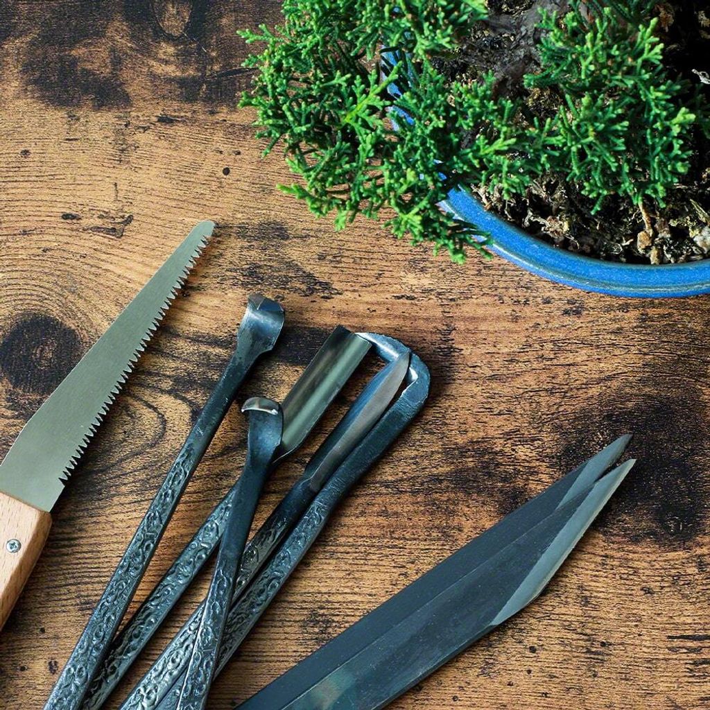 wzkr_211105_10_1024x1024@2x