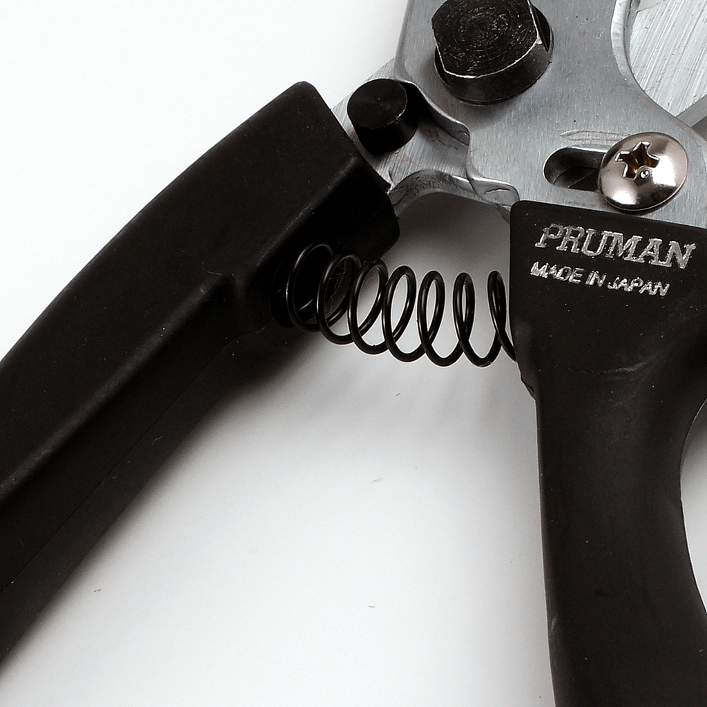 05_ab2dd15f-b6ec-4176-8784-dbf29a828198_1024x1024@2x