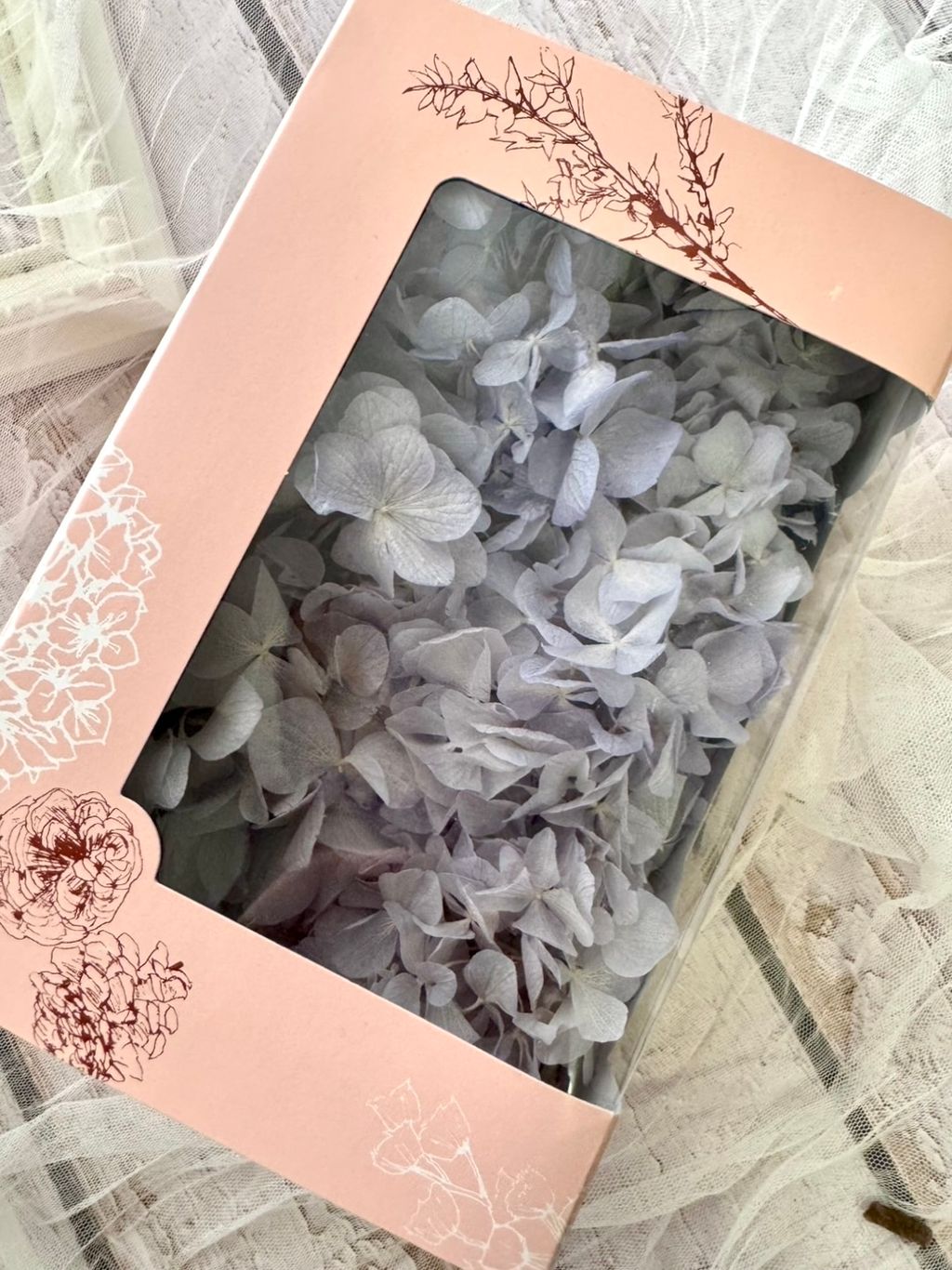 image_9B333572-B11C-4B86-8595-823EDF6A2961_1775616001