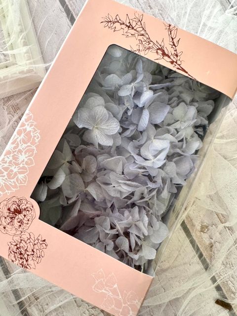 image_9B333572-B11C-4B86-8595-823EDF6A2961_1775616001