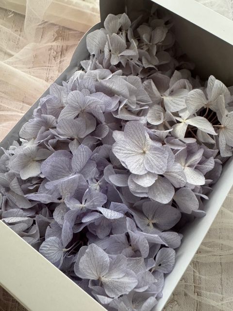 image_94BCE805-D434-452B-A9E4-9DDFB87557E5_1775616001