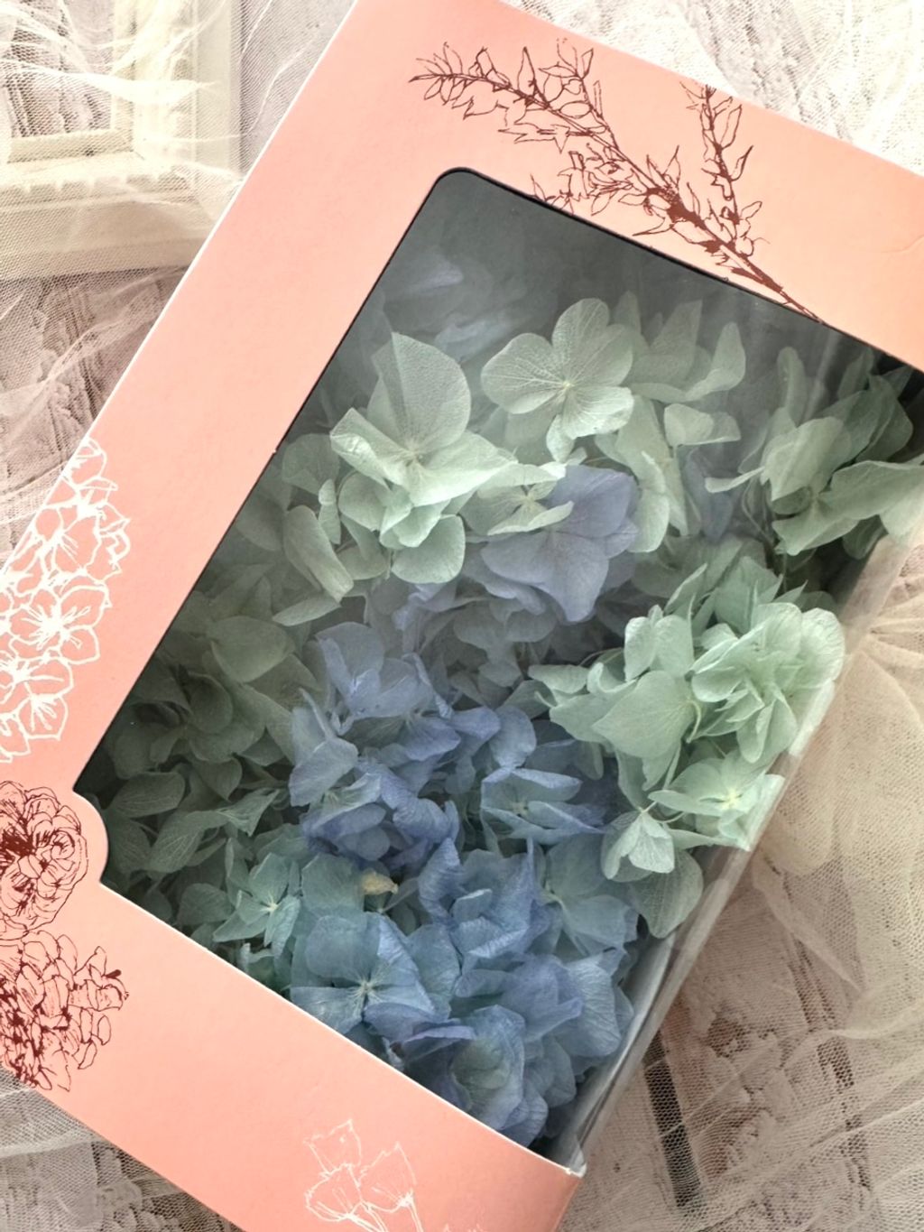 image_51F6F752-6F5B-460C-A778-FA6CD8A7CCC2_1775616064